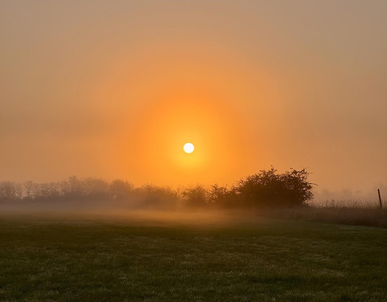 Morning sun glowing through dense autumn fog over a grassy field and silhouetted trees in Ladner, British Columbia.